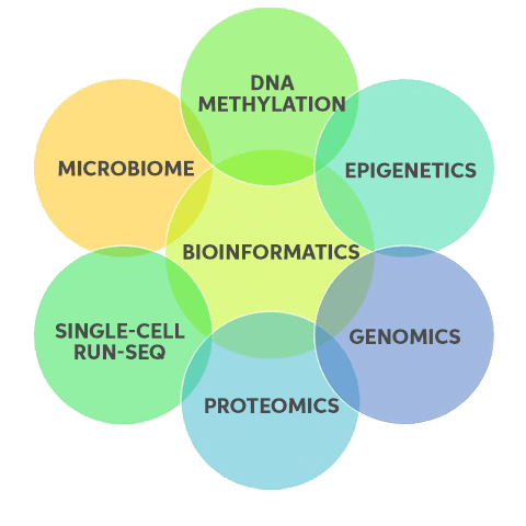 ACRI Systems Biology Bioinformatics Core Services